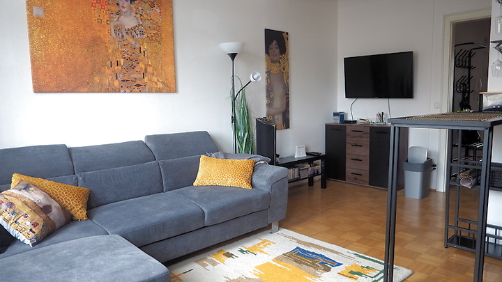 2 room apartment in Wels, furnished