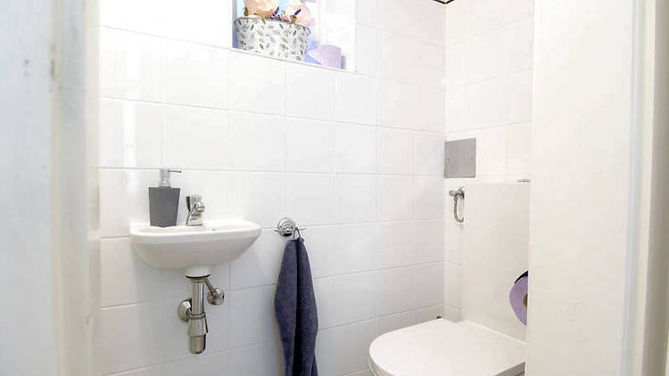 Picture 6