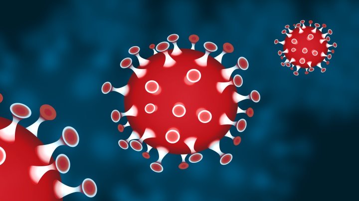 Corona virus and sublease